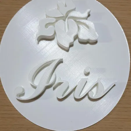 Iris Penzion